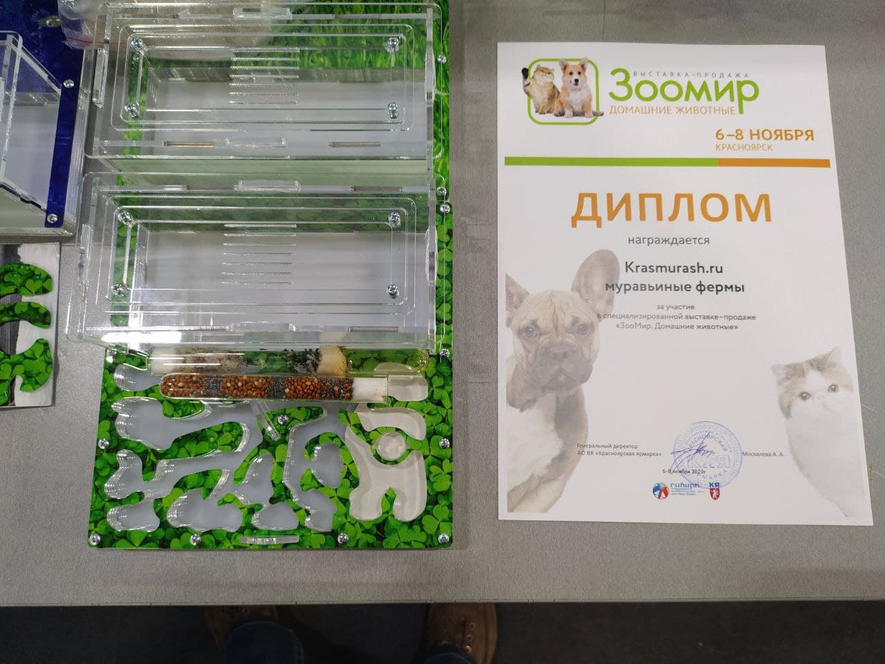 Выставка-ярмарка домашних животных "ЗооМир 2020"