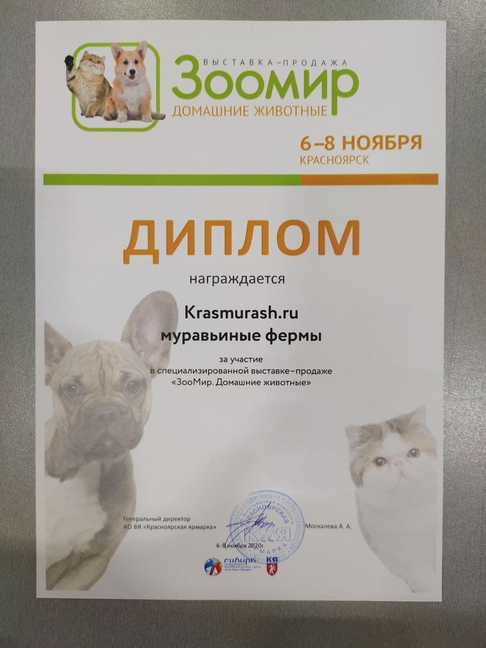 Выставка-ярмарка домашних животных "ЗооМир 2020"